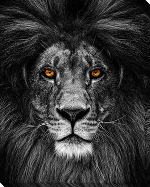 Eyes of the King Wall Art - Black/Grey - 16 X 20