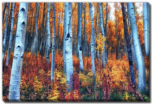 Autumn Blaze Wall Art - Orange - 38 X 60