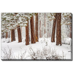 Stillness in Snow Wall Art - White - 38 X 60