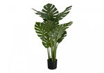 45" Monstera Plant With 6" Black Pot - Green