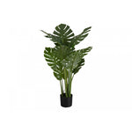 45" Monstera Plant With 6" Black Pot - Green