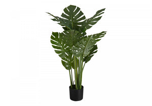 45" Monstera Plant With 6" Black Pot - Green
