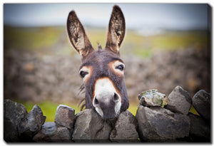 Behind the Wall Art - Brown - 38 X 60