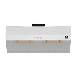 Forno Bari White 30" 400 CFM Under Cabinet Range Hood - FRHUC5255-30WHT
