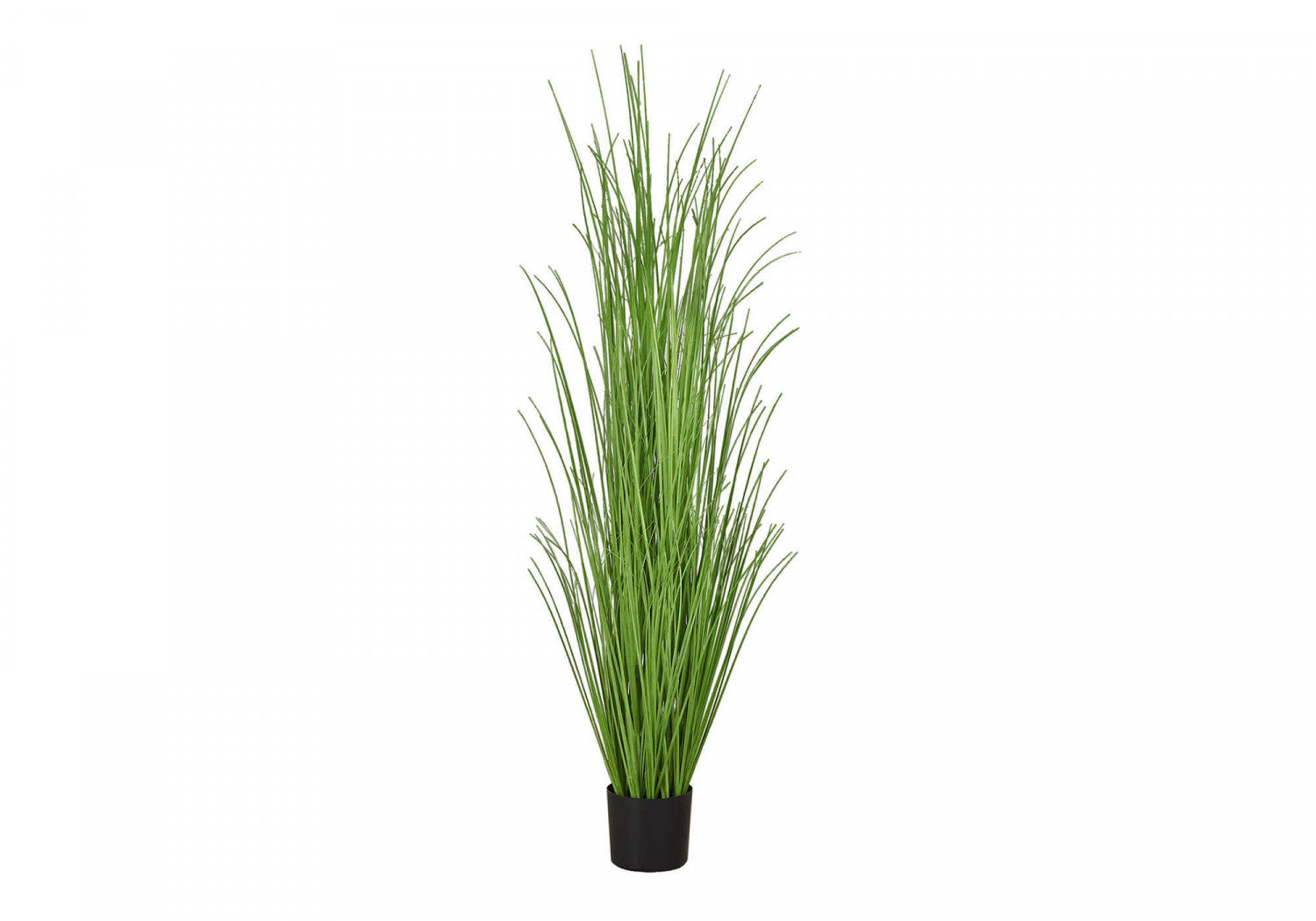 47" Grass Plant With 5" Black Pot - Green