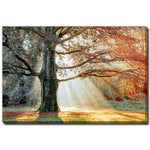 Seasons Divide Wall Art - Orange - 38 X 60