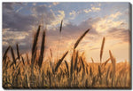 Wheatlight Wall Art - Brown - 22 X 28