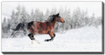 Snow Spirit Wall Art - White/Dark Brown - 30 X 60