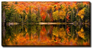 Autumn Reflections Wall Art - Orange/Green - 10 X 20