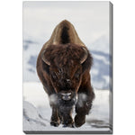 Charging Bison Wall Art - Brown - 38 X 60