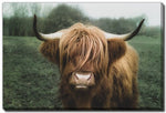 Woolly Majesty Wall Art - Brown/Green - 16 X 20