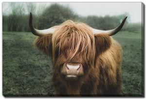 Woolly Majesty Wall Art - Brown/Green - 16 X 20