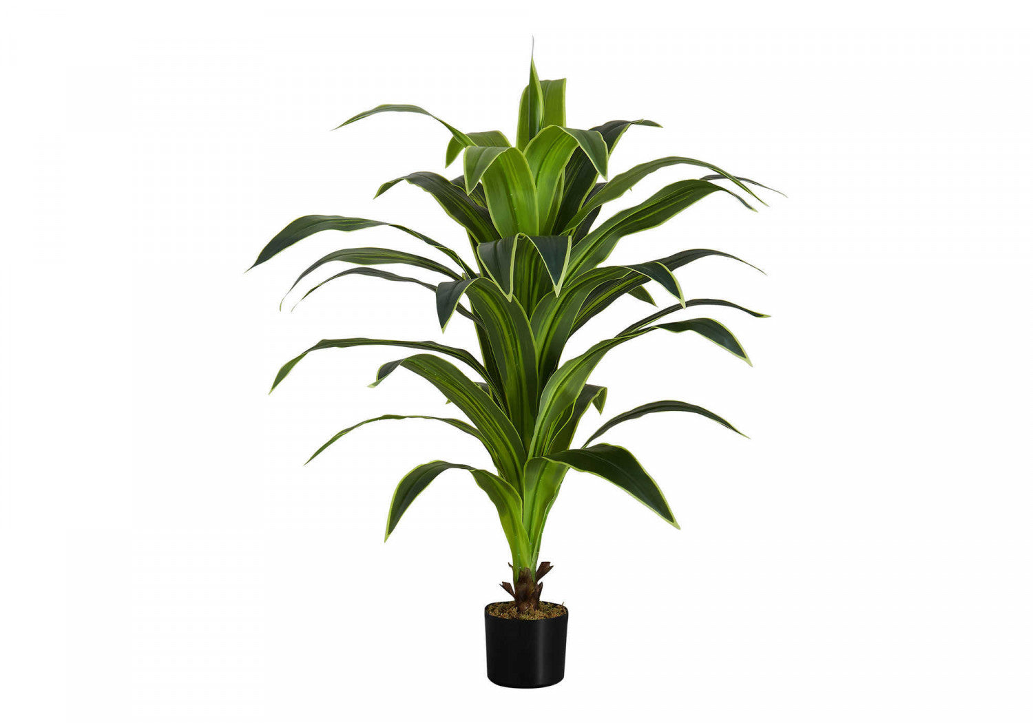47" Dracaena Tree With 5" Black Pot - Green