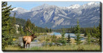 Wilderness Gaze Wall Art - Blue/Green - 10 X 20