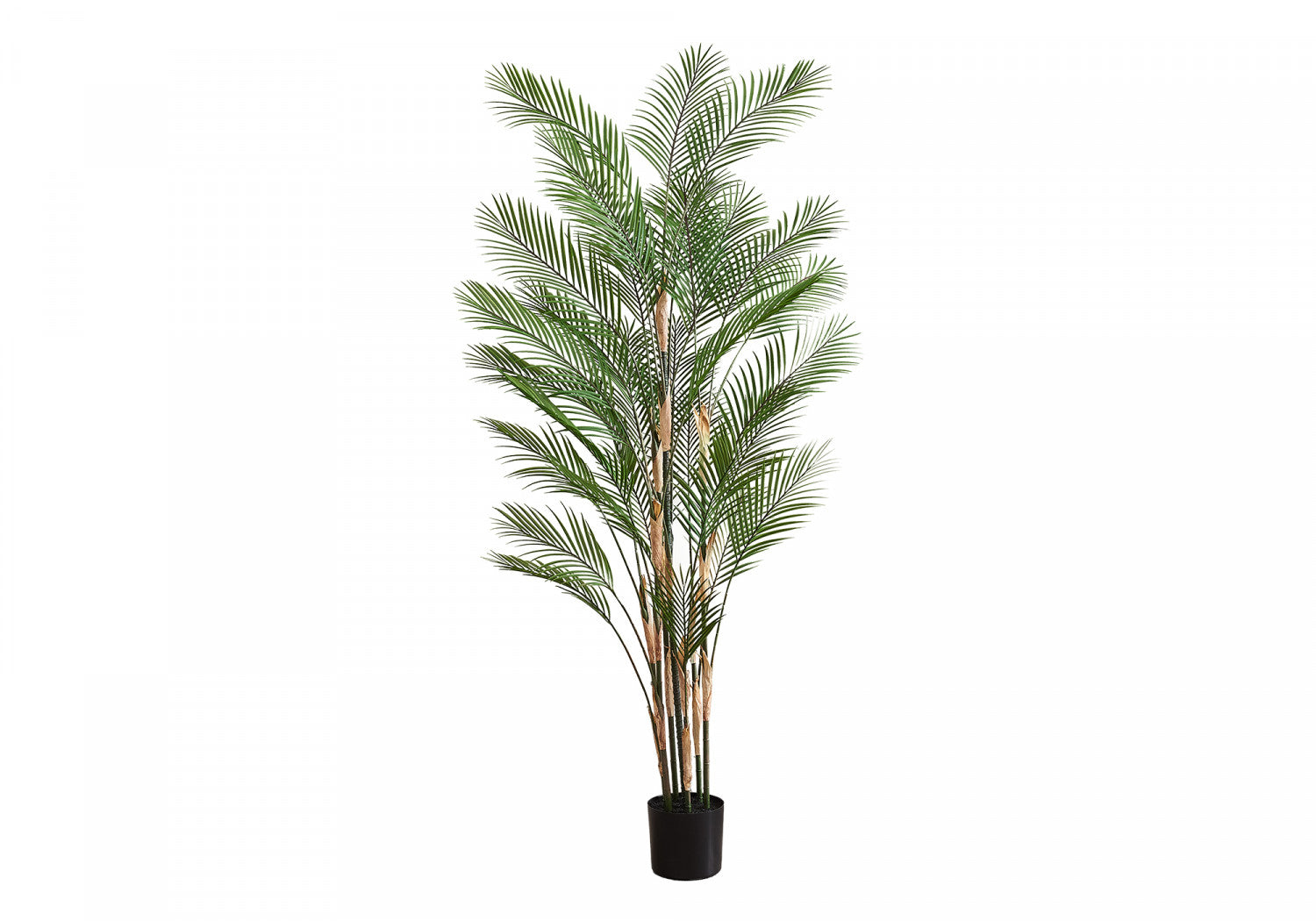 83" Palm Tree With 8" Black Pot - Green