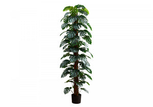 83" Monstera Plant With 8" Black Pot - Green