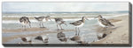 Shorebirds Wall Art - Brown/Beige - 20 X 60