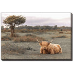 Morning in the Meadow Wall Art - Multi-Colour - 16 X 20