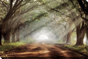 Journey Within Wall Art - Brown/Green - 16 X 20