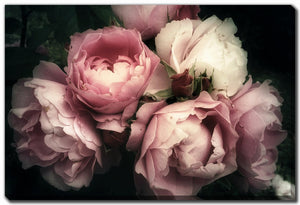 Petals in the Dark Wall Art - Pink - 30 X 45