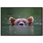 The Watchful Swimmer Wall Art - Green - 30 X 45