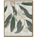 Eucalyptus Bloom II Wall Art - Green - 24 X 30