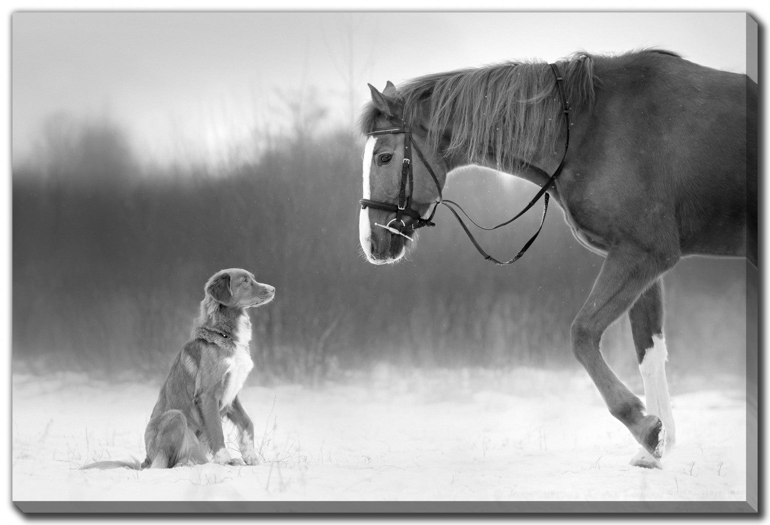 Winter Companions Wall Art - Grey - 38 X 60