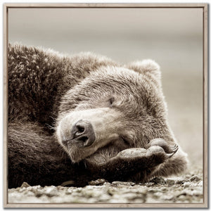 Slumbering Giant Wall Art - Brown - 36 X 36