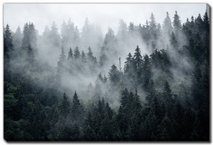 Fog Over The Ridge Wall Art - Green - 16 X 20
