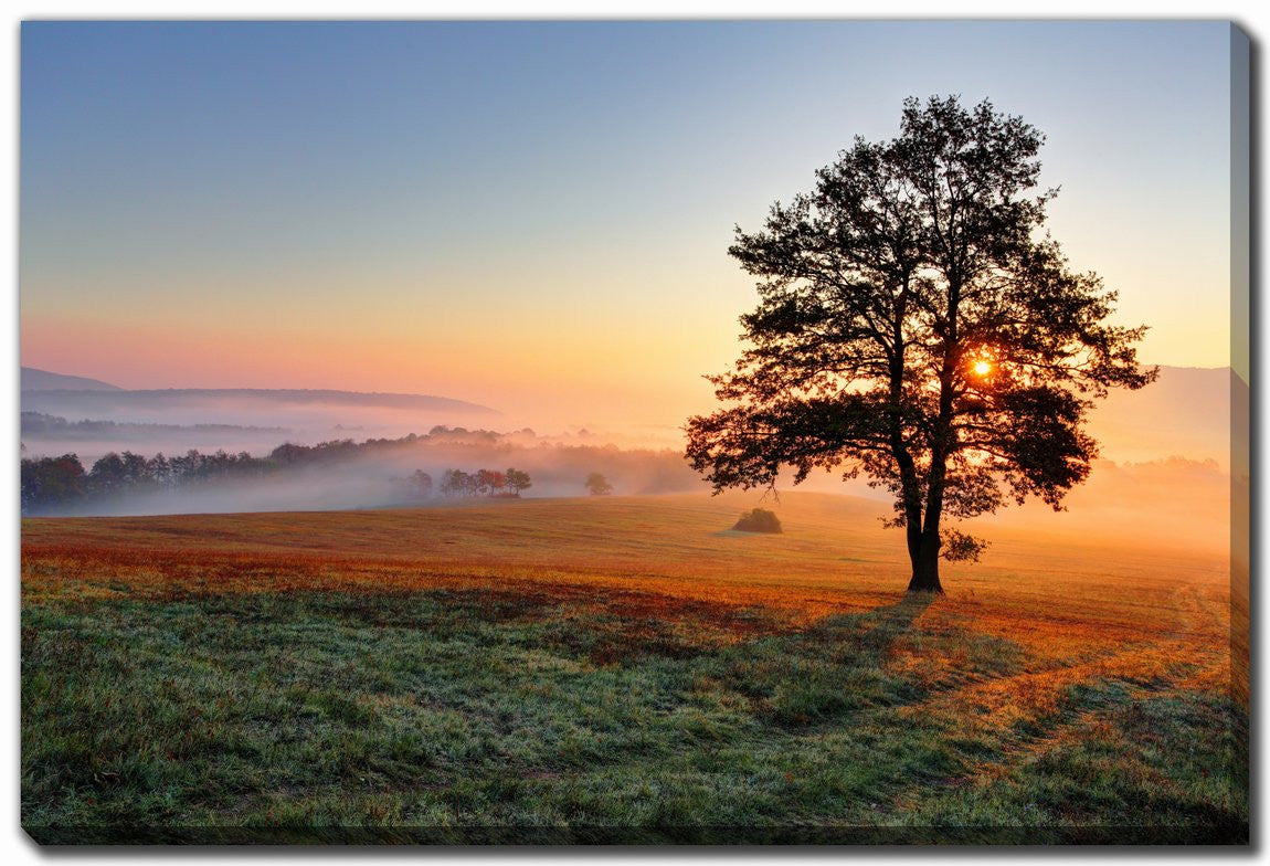 Rooted in Light Wall Art - Blue/Green/Orange - 38 X 60