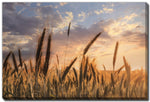 Wheatlight Wall Art - Brown - 38 X 60