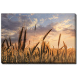 Wheatlight Wall Art - Brown - 38 X 60