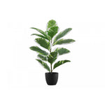 27" Rubber Plant With 5" Black Pot - Green