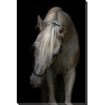 Equine Power Wall Art - Black/White - 22 X 28