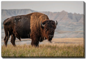 Western Strength Wall Art - Brown - 22 X 28