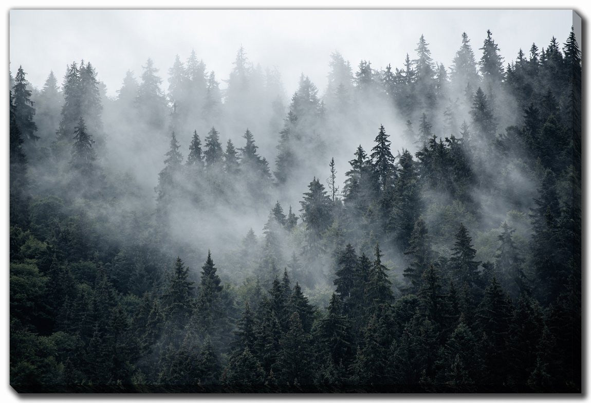 Fog Over The Ridge Wall Art - Green - 30 X 45