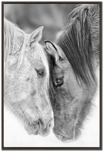 Equine Affection Wall Art - Black/White - 30 X 45