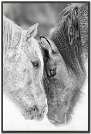 Equine Affection Wall Art - Black/White - 30 X 45