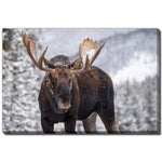 King of the Forest Wall Art - Brown/Grey - 22 X 28
