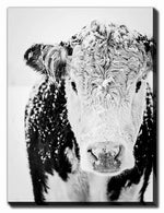 The Depth of Winter Art - Black/White - 16 X 20