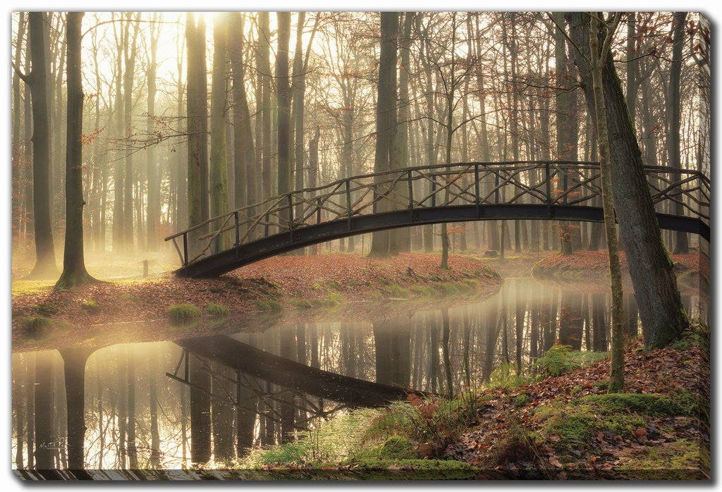 Whispers of the Woods Wall Art - Multi-Colour - 38 X 60