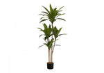 51" Dracaena Plant With 5" Black Pot - Green