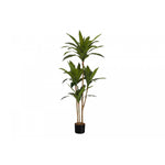 51" Dracaena Plant With 5" Black Pot - Green