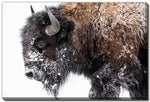 Winter Coat Wall Art - Brown - 38 X 60