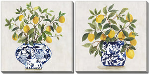 Lemon Grove Wall Art - Multi-Colour - 16 X 16 - Set of Two
