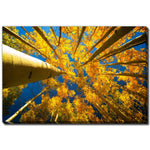 Beneath the Leaves Wall Art - Yellow - 38 X 60