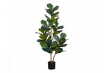 49" Fiddle Tree With 5" Black Pot - Green