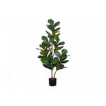 49" Fiddle Tree With 5" Black Pot - Green