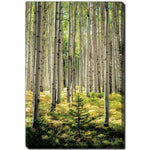 Whispering Grove Wall Art - Green - 30 X 45