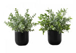 11" Eucalyptus Grass Plant With 5" Black Pot - Green - Set of Two